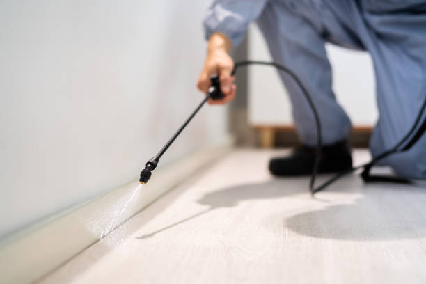 Licensed Exterminator service in Sulphur, OK - Show Me Pest Control